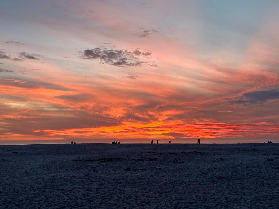 Vivid sunset over the beach